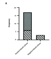 Hospital Based Microbiological Surveillance and Antibiotic Resistance of Infective Endocarditis in Fars Province