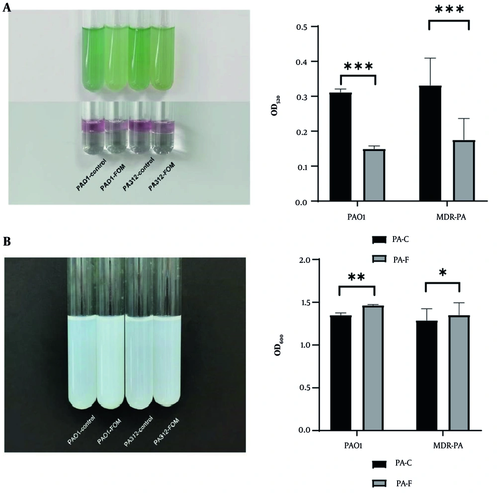 Sub-minimum inhibitory concentration (MIC) fosfomycin (FOM) suppresses pyocyanin and protease production. A, pyocyanin quantification in culture supernatants of PAO1 and multidrug-resistant <i>PA</i> (MDR-PA) strains grown with or without 1/8 MIC FOM for 72 h. Absorbance at OD₅₂₀ reflects pyocyanin levels. FOM treatment reduced pyocyanin production (P < 0.001) (mean ± SD, n = 3); B, total extracellular protease activity measured by modified skim milk assay after 24 h incubation. Absorbance at OD₆₀₀ indicates residual milk turbidity (lower protease activity yields higher OD) (mean ± SD, n = 3). Sub-MIC FOM significantly decreased proteolysis (P < 0.05). * P < 0.05; ** P < 0.01; *** P < 0.001. Sub-minimum inhibitory concentration (MIC) fosfomycin (FOM) suppresses pyocyanin and protease production. A, pyocyanin quantification in culture supernatants of PAO1 and multidrug-resistant <i>PA</i> (MDR-PA) strains grown with or without 1/8 MIC FOM for 72 h. Absorbance at OD₅₂₀ reflects pyocyanin levels. FOM treatment reduced pyocyanin production (P < 0.001) (mean ± SD, n = 3); B, total extracellular protease activity measured by modified skim milk assay after 24 h incubation. Absorbance at OD₆₀₀ indicates residual milk turbidity (lower protease activity yields higher OD) (mean ± SD, n = 3). Sub-MIC FOM significantly decreased proteolysis (P < 0.05). * P < 0.05; ** P < 0.01; *** P < 0.001.