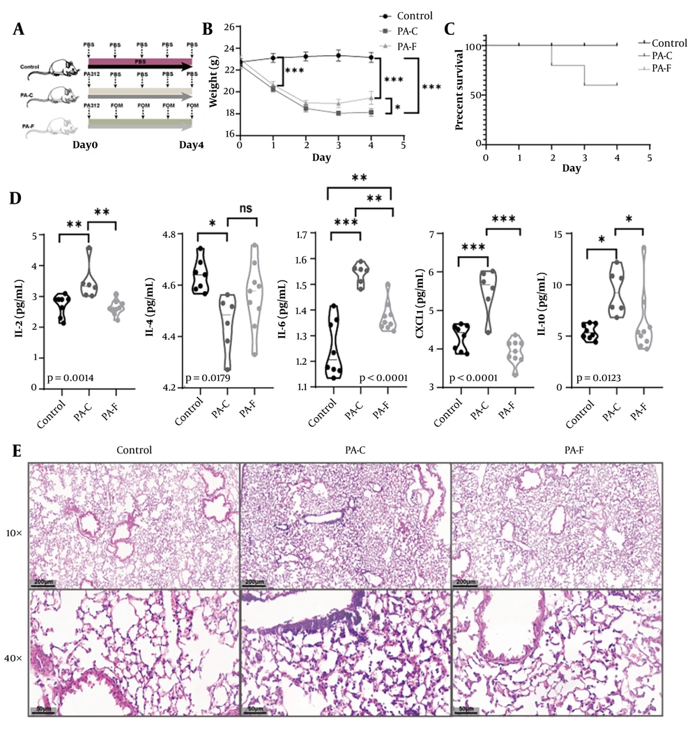 Fosfomycin (FOM) protects mice from Multidrug-resistant <i>Pseudomonas aeruginosa</i> (MDR-PA)-induced acute lung injury (ALI). A, experimental timeline: Intratracheal inoculation with PA312, followed 30 min later by subcutaneous FOM (160 mg/kg) or phosphate-buffered saline (PBS), administered every 12 h; B, body weight change over 4 days post-infection. PA-FOM (PA-F, FOM-treated) mice lost significantly less weight than untreated PA-control (PA-C) mice (P < 0.05) (mean ± SD); C, Kaplan-Meier survival curves over 4 days (n = 10 per group). Survival was 100 % in control and PA-F groups versus ~60% in PA-C (P < 0.01); D, bronchoalveolar lavage fluid (BALF) cytokine levels (IL-2, IL-4, IL-6, CXCL1, IL-10) measured by ELISA on day 4. Fosfomycin treatment significantly reduced all cytokines compared to PA-C (P < 0.05 to P < 0.001; mean ± SD); E, hematoxylin and eosin (H&E)-stained lung sections (4 μm) at 10X and 40X magnification. * P <0.05; ** P <0.01; *** P < 0.001. Fosfomycin (FOM) protects mice from Multidrug-resistant <i>Pseudomonas aeruginosa</i> (MDR-PA)-induced acute lung injury (ALI). A, experimental timeline: Intratracheal inoculation with PA312, followed 30 min later by subcutaneous FOM (160 mg/kg) or phosphate-buffered saline (PBS), administered every 12 h; B, body weight change over 4 days post-infection. PA-FOM (PA-F, FOM-treated) mice lost significantly less weight than untreated PA-control (PA-C) mice (P < 0.05) (mean ± SD); C, Kaplan-Meier survival curves over 4 days (n = 10 per group). Survival was 100 % in control and PA-F groups versus ~60% in PA-C (P < 0.01); D, bronchoalveolar lavage fluid (BALF) cytokine levels (IL-2, IL-4, IL-6, CXCL1, IL-10) measured by ELISA on day 4. Fosfomycin treatment significantly reduced all cytokines compared to PA-C (P < 0.05 to P < 0.001; mean ± SD); E, hematoxylin and eosin (H&E)-stained lung sections (4 μm) at 10X and 40X magnification. * P <0.05; ** P <0.01; *** P < 0.001.