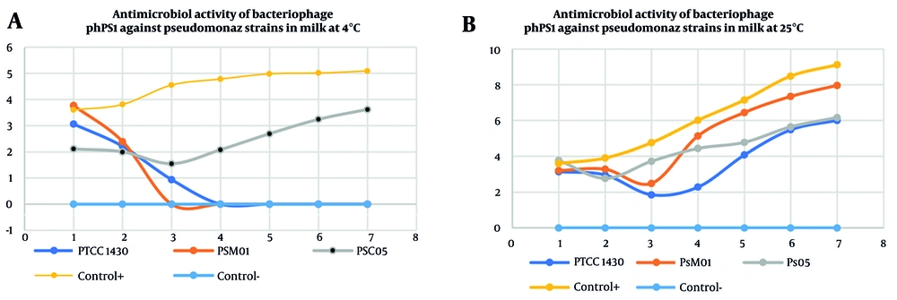 Antibacterial activity of bacteriophage Phps1 against <i>Pseudomonas</i> strains PTCC 1430 (blue), PSM01 (orange), PSC05 (gray), and the positive strain PTCC 1430 (without bacteriophage, yellow), negative control (without bacteria and bacteriophage, dark blue), in pasteurized milk A, at 4°C; and B, 25°C. At 4°C, Phps1 almost completely suppressed PSM01 and markedly reduced PSC05, while PTCC 1430 (positive control) showed steady growth. The negative control (without bacteria and bacteriophage) showed no growth as expected. At 25°C, all strains exhibited initial reduction but regrowth occurred after day 3, indicating reduced long-term efficacy at higher temperature. Antibacterial activity of bacteriophage Phps1 against <i>Pseudomonas</i> strains PTCC 1430 (blue), PSM01 (orange), PSC05 (gray), and the positive strain PTCC 1430 (without bacteriophage, yellow), negative control (without bacteria and bacteriophage, dark blue), in pasteurized milk A, at 4°C; and B, 25°C. At 4°C, Phps1 almost completely suppressed PSM01 and markedly reduced PSC05, while PTCC 1430 (positive control) showed steady growth. The negative control (without bacteria and bacteriophage) showed no growth as expected. At 25°C, all strains exhibited initial reduction but regrowth occurred after day 3, indicating reduced long-term efficacy at higher temperature.