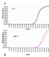 Development and Analytical Evaluation of a Colorimetric Reverse Transcription Loop-Mediated Isothermal Amplification Assay for Seasonal Influenza A Virus Detection