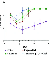 The Synergistic Antibacterial Effect of Topical Phage Cocktail and Gentamicin on the Healing Process of Infectious Wounds by Klebsiella pneumoniae in Wistar Rats Model