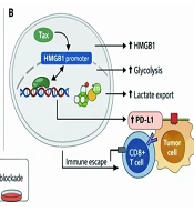 Jundishapur J Microbiol