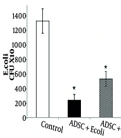 Involvement of Hepcidin Gene Expression in the Antibacterial Effect of Human Adipose-Derived Stem Cells