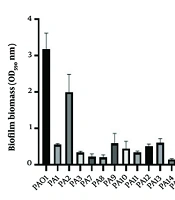Biofilm Formation, Multidrug Resistance, and Biofilm-Associated Resistance Genes in Clinical Pseudomonas aeruginosa Isolates