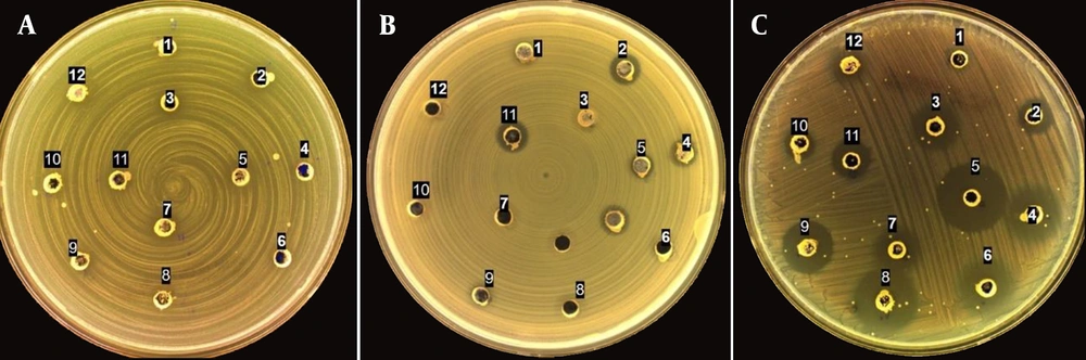 Graphical abstract illustrating the effect of culture optimization on 3 the antimicrobial activity of <i>Streptomyces</i> isolate ID Ca2 - 5 against MRSA. Graphical abstract illustrating the effect of culture optimization on 3 the antimicrobial activity of <i>Streptomyces</i> isolate ID Ca2 - 5 against MRSA.