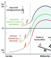 Enhancement of Anti-MRSA Activity in Endophytic Streptomyces drozdowiczii Ca2- 5 Through OSMAC and Light-Regime Optimization