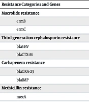 Diagnostic Value of Targeted Next-Generation Sequencing in Pulmonary Infection