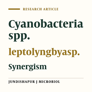 Antimicrobial Potentials of Leptolyngbya sp. and Its Synergistic Effects With Antibiotics