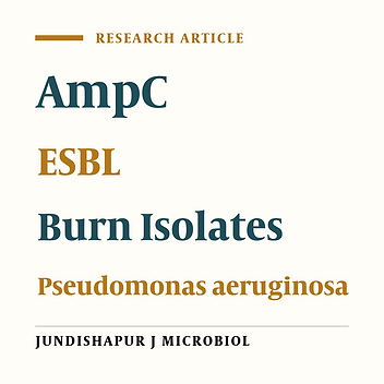 Coexistence of AmpC and Extended-Spectrum β-lactamases in Metallo-β-Lactamase Producing Pseudomonas aeruginosa Burn Isolates in Tehran