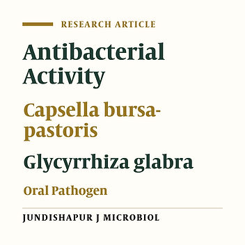 Cover image of the article: Synergistic Antibacterial Activity of Capsella bursa-pastoris and Glycyrrhiza glabra Against Oral Pathogens