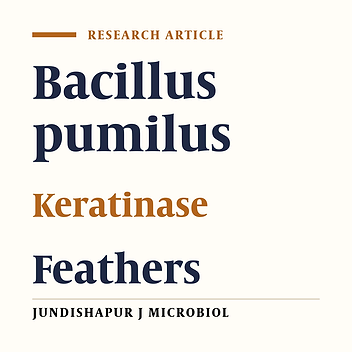 Zymogram Analysis of Alkaline Keratinase Produced by Nitrogen Fixing Bacillus pumilus ZED17 Exhibiting Multiprotease Enzyme Activities
