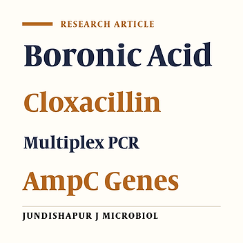 Genotypic Identification of AmpC β-Lactamases Production in Gram-Negative Bacilli Isolates