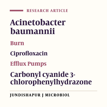 Effect of Efflux Pump Inhibitor Carbonyl Cyanide 3-Chlorophenylhydrazone on the Minimum Inhibitory Concentration of Ciprofloxacin in Acinetobacter baumannii Clinical Isolates
