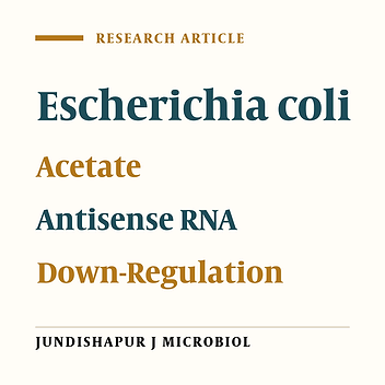 Down Regulation of ackA-pta Pathway in Escherichia coli BL21 (DE3): A Step Toward Optimized Recombinant Protein Expression System