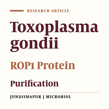A preliminary Study: Expression of Rhoptry Protein 1 (ROP1) Toxoplasma gondii in Prokaryote System