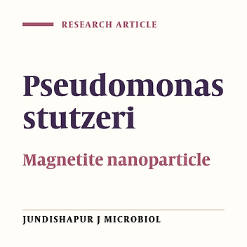 Antibacterial Activities of Nano Magnetite ZnO Produced in Aerobic and Anaerobic Condition by Pseudomonas stutzeri