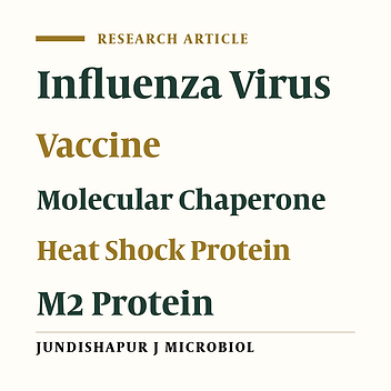 In Vitro Evaluation of Influenza M2 and Leishmania major HSP70 (221-604) Chimer Protein