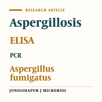 Assessment Techniques to Detect Aspergillus fumigatus in Different Samples of Immunosuppressed Male Western Albino Rats