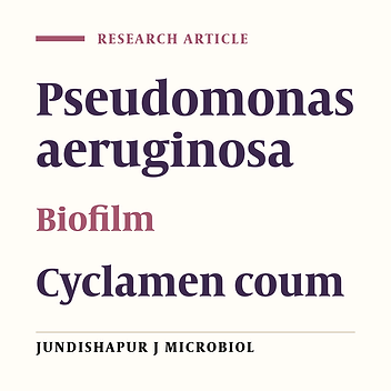 Eradication of Pseudomonas aeruginosa Biofilms Using the Combination of n-butanolic Cyclamen coum Extract and Ciprofloxacin