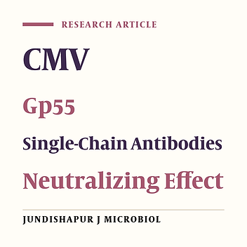 Single Chain Antibodies Against gp55 of Human Cytomegalovirus (HCMV) for Prophylaxis and Treatment of HCMV Infections