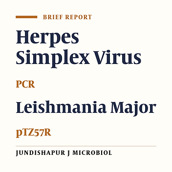 Designing Novel and Simple Competitive Internal Amplification Control for Reliable PCR Diagnosis of Herpes Simplex Virus