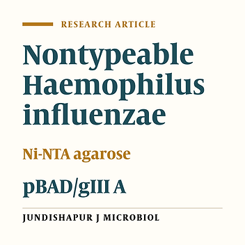 Prokaryotic High-Level Expression System in Producing Adhesin Recombinant Protein E of Nontypeable Haemophilus influenzae