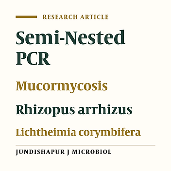 Sequence Base Identification of Respiratory Mucormycosis