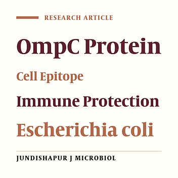 Construction of a Recombinant OmpC Dominant Epitope-Based Vaccine Against Escherichia coli and Evaluation of Its Immunogenicity and Protective Immunity