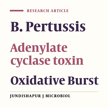 The Impact of Two Purified Forms of Bordetella Pertussis CyaA on Oxidative Burst