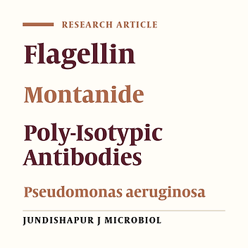 Pseudomonas aeruginosa Recombinant Flagellin Induced Poly-Isotypic Humoral Immune Responses in the Balb/C Mice