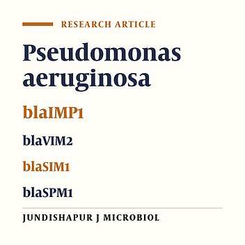 Dissemination of Pseudomonas aeruginosa Producing blaIMP1, blaVIM2, blaSIM1, blaSPM1 in Shiraz, Iran