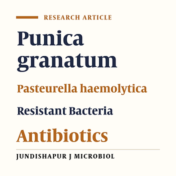 The Anti-Bacterial Effect of Punica granatum Extracts Against Antibiotic Resistant Pasteurella haemolytica