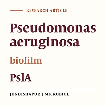 Biofilm Formation and β-Lactamase Production in Burn Isolates of Pseudomonas aeruginosa