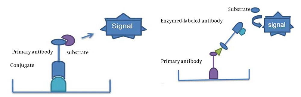Enzyme-Linked Immunosorbent Assay (A) Typical ELISA assay; (B) Sandwich ELISA assay.