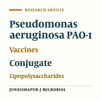Pseudomonas aeruginosa PAO-1 Lipopolysaccharide-Diphtheria Toxoid Conjugate Vaccine: Preparation, Characterization and Immunogenicity