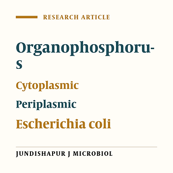The Cytoplasmic and Periplasmic Expression Levels and Folding of Organophosphorus Hydrolase Enzyme in Escherichia coli
