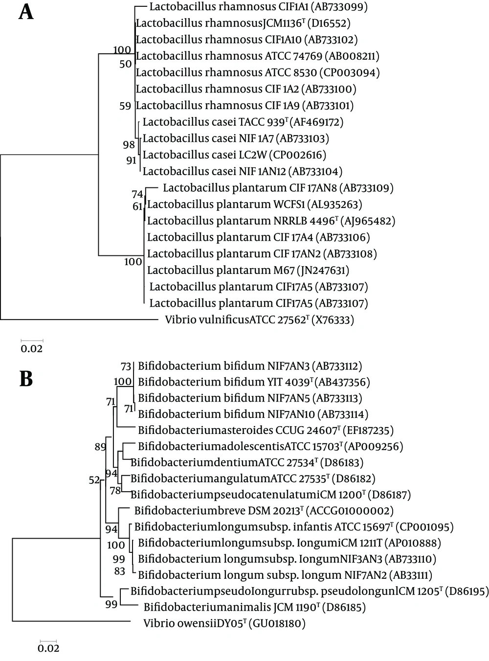 Phylogenetic Tree Based on the Nucleotide Sequences of <i>16S rDNA</i> Nucleotide Sequence (Full Length) of Probiotic (A) Lactic Acid Bacteria and (B) Bifidobacteria Isolated From Healthy Infant Feces Using the Neighbor-Joining Method Bootstrap values for a total of 1000 replicates were given. <i>Vibrio vulnificus</i> ATCC 27562T and Vibrio owensii DY05T were used as out groups.