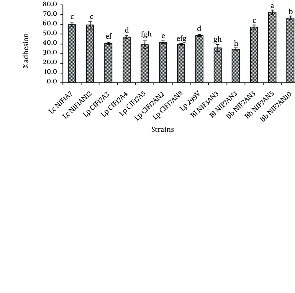 Adhesion to Porcine Gastric Mucin Type III of <i>Lactobacillus casei</i> (Lc), <i>Lactobacillus</i> plantarum (Lp), <i> Bifidobacterium longum</i> Subsp. longum (Bl) and <i>Bifidobacterium bifidum</i> (Bb) Isolated From Healthy Infant Feces and Mucin Adhesive <i>Lactobacillus plantarum</i> 299V (Positive Control) Different letters indicate significant difference (P < 0.05).