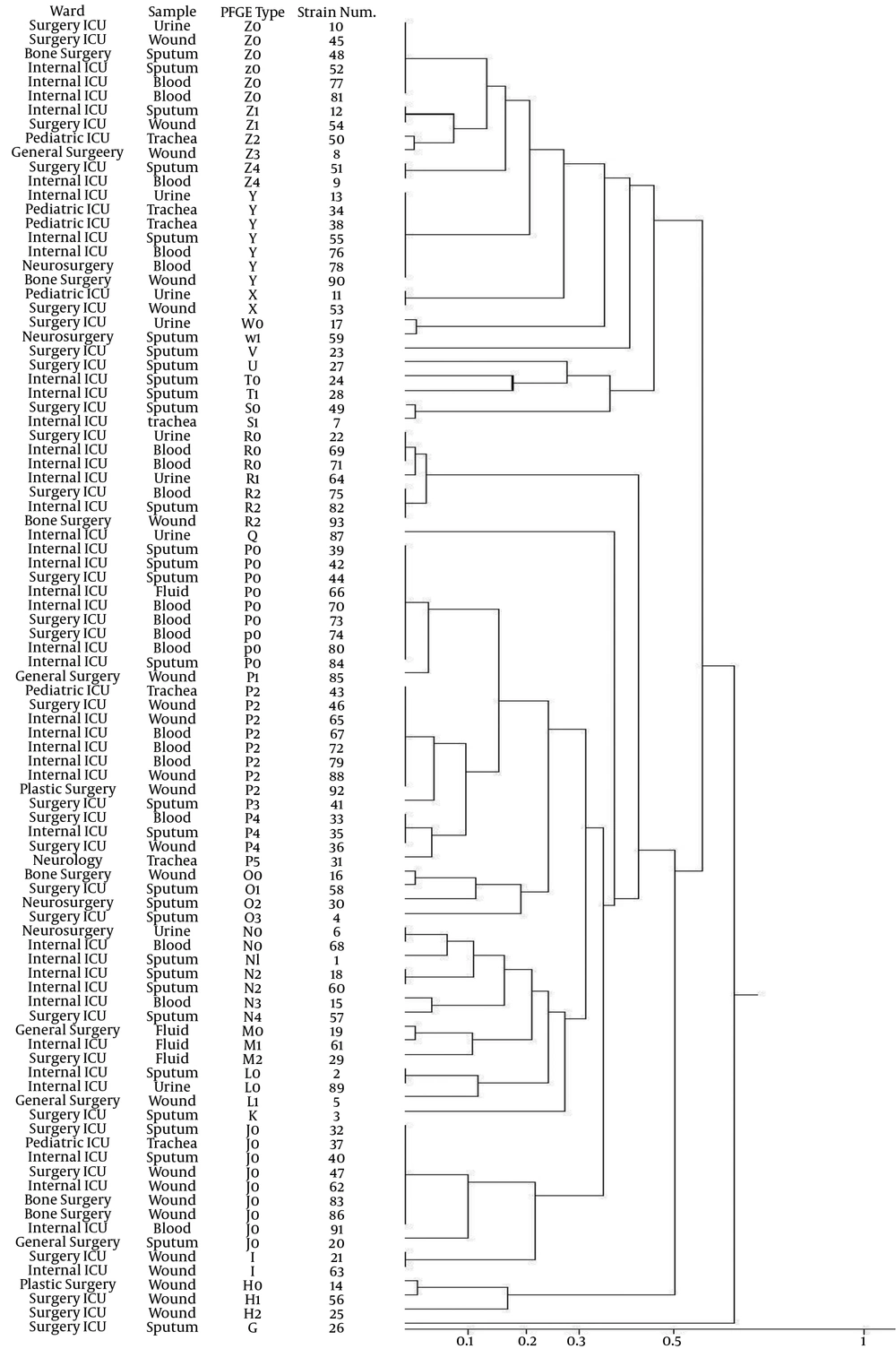 Dendrogram Comparing Forty-Seven Genotype Patterns of <i>Acinetobacter calcoaceticus baumannii</i> Complex According to Pulsed Field Gel Electrophoresis Type, Specimen Type and Clinic Wards The similarities among the patterns of the 93 isolates were calculated by the Dice coefficient and then regrouped using the Unweighted Pair Group Method with Arithmetic Mean (UPGMA).