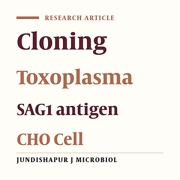 Cloning and Expression of Major Surface Antigen 1 Gene of Toxoplasma gondii RH Strain Using the Expression Vector pVAX1 in Chinese Hamster Ovary Cells