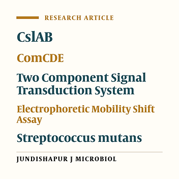 ABC Transporter CslAB, a Stabilizer of ComCDE Signal in Streptococcus mutans