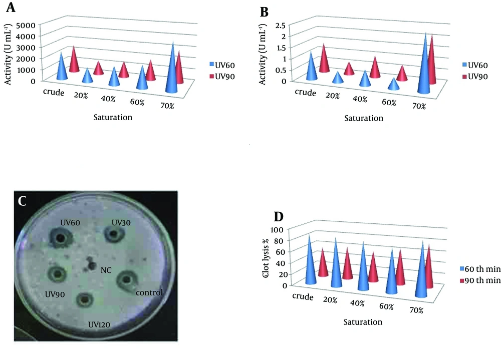 (a) Nattokinase Activity of Partially Purified Enzyme From UV60 and UV90 (b) Protein Content of Partially Purified Enzyme From UV60 and UV90 (c) Radial Caseinolytic Assay of Mutant Strains UV30, UV60, UV90 and UV120, and Control-Wild Strain and Negative Control (NC) (d) Percentage of Blood Clot Lysed After Addition of NK From Mutant UV60 and UV90 (a) Nattokinase Activity of Partially Purified Enzyme From UV60 and UV90 (b) Protein Content of Partially Purified Enzyme From UV60 and UV90 (c) Radial Caseinolytic Assay of Mutant Strains UV30, UV60, UV90 and UV120, and Control-Wild Strain and Negative Control (NC) (d) Percentage of Blood Clot Lysed After Addition of NK From Mutant UV60 and UV90