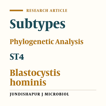 Prevalence and Genotype Characterization of Blastocystis hominis Among the Baghmalek People in Southwestern Iran in 2013 - 2014