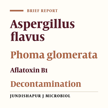 Aflatoxin B1 Degradation by Metabolites of Phoma glomerata PG41 Isolated From Natural Substrate Colonized by Aflatoxigenic Aspergillus flavus