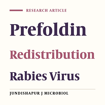 Analysis of Subcellular Prefoldin 1 Redistribution During Rabies Virus Infection