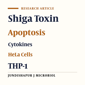 Comparative Effect of Recombinant Shiga Toxin in Induction of Pro- and Anti-Apoptotic Markers and Inflammatory Cytokines in Epithelial and Monocytic Cells