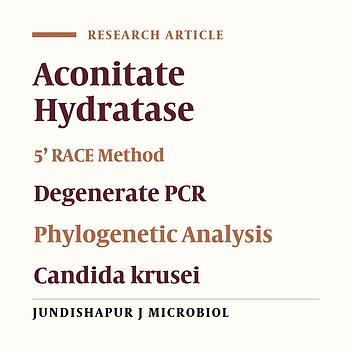 Identification and Sequencing of Candida krusei Aconitate Hydratase Gene Using Rapid Amplification of cDNA Ends Method and Phylogenetic Analysis