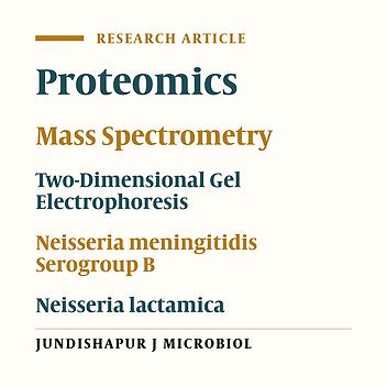 Comparative Proteomics Analysis of Two Strains of Neisseria meningitidis Serogroup B and Neisseria lactamica
