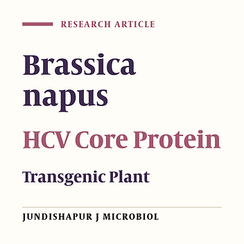 Heterologous Expression of Hepatitis C Virus Core Protein in Oil Seeds of Brassica napus L.